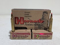 Hornady 204 Ruger Ammunition