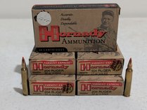 Hornady 204 Ruger Ammunition