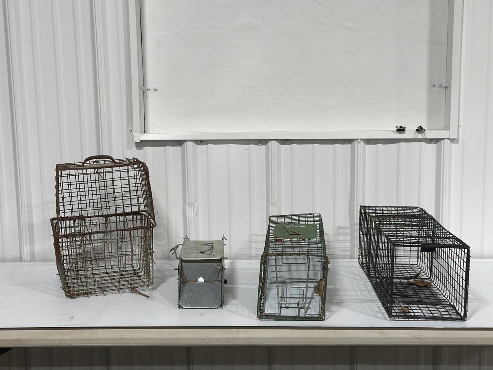 Four Wire Animal Traps And Cages