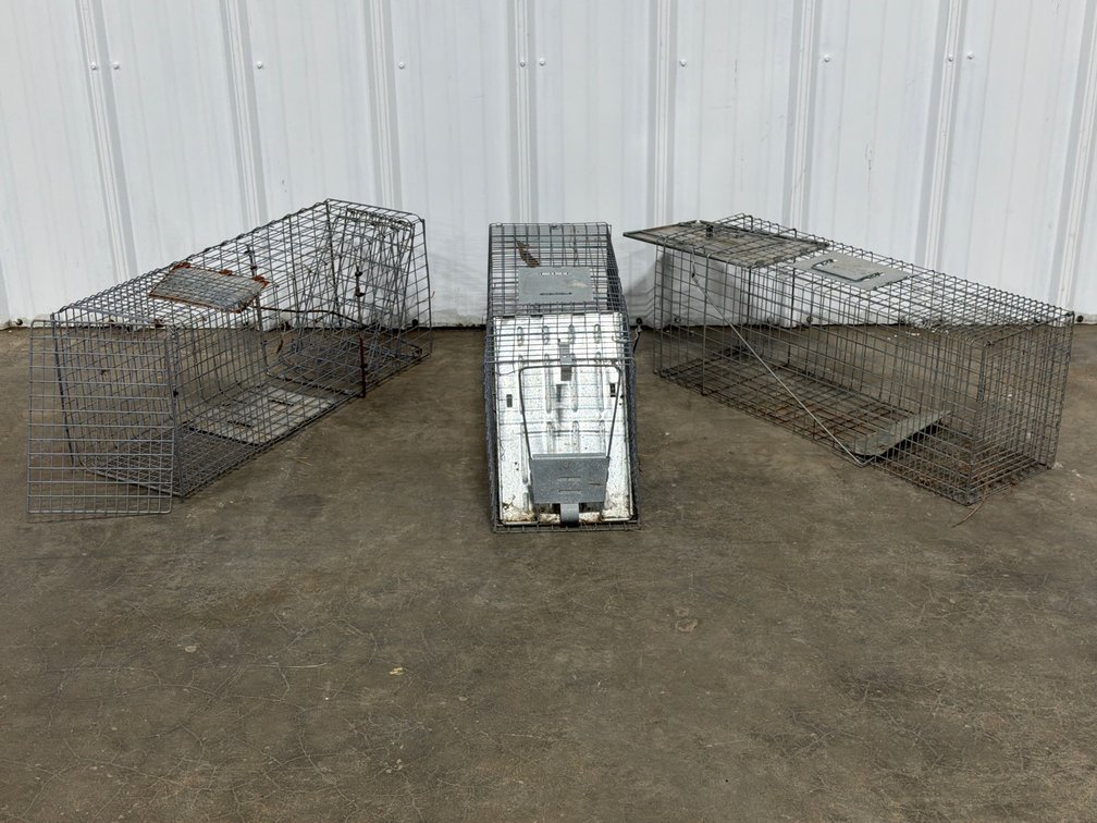 Havahart Wire Mesh Live Animal Traps