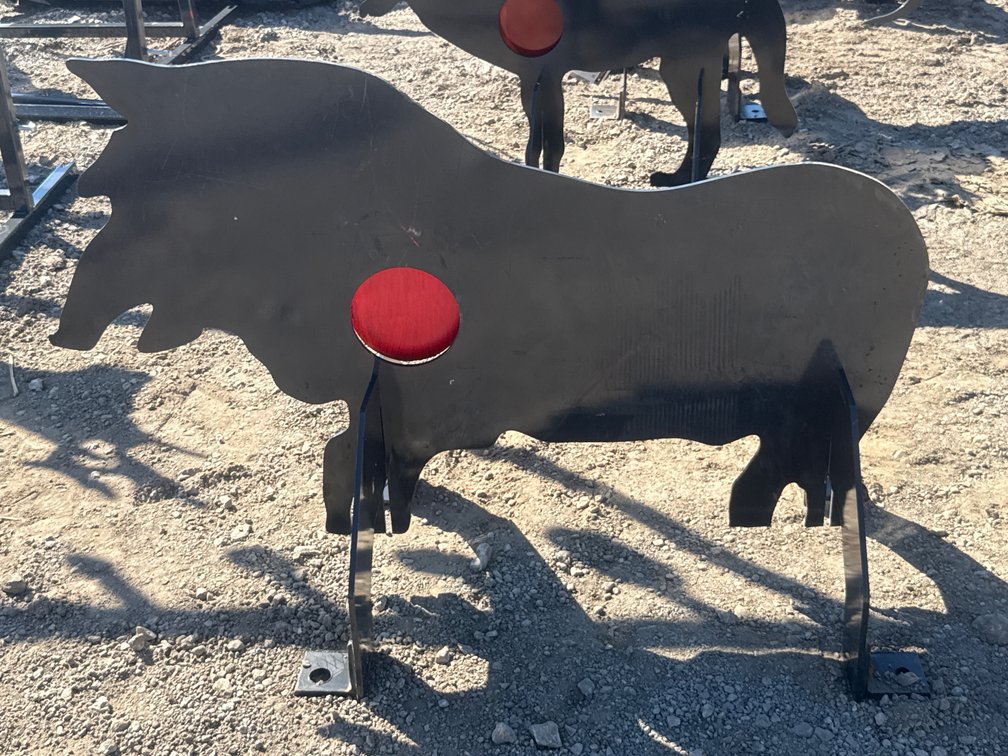 LandHonor Boar Target