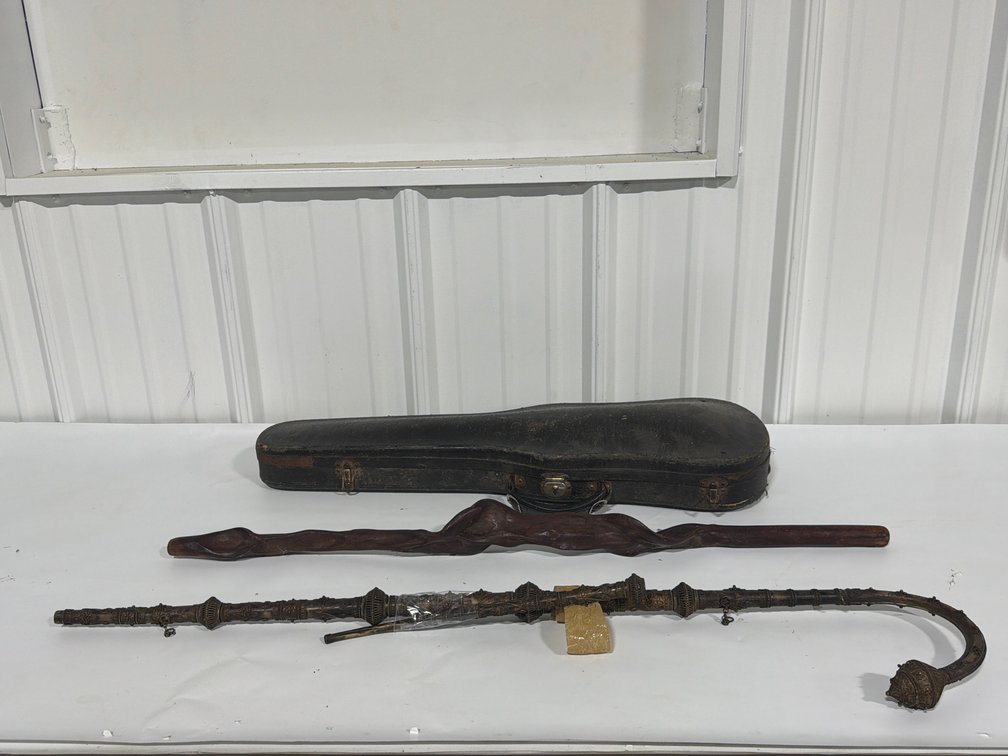 Violin Case And Walking Sticks