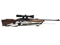 Remington .308 Win Semi-Auto Rifle