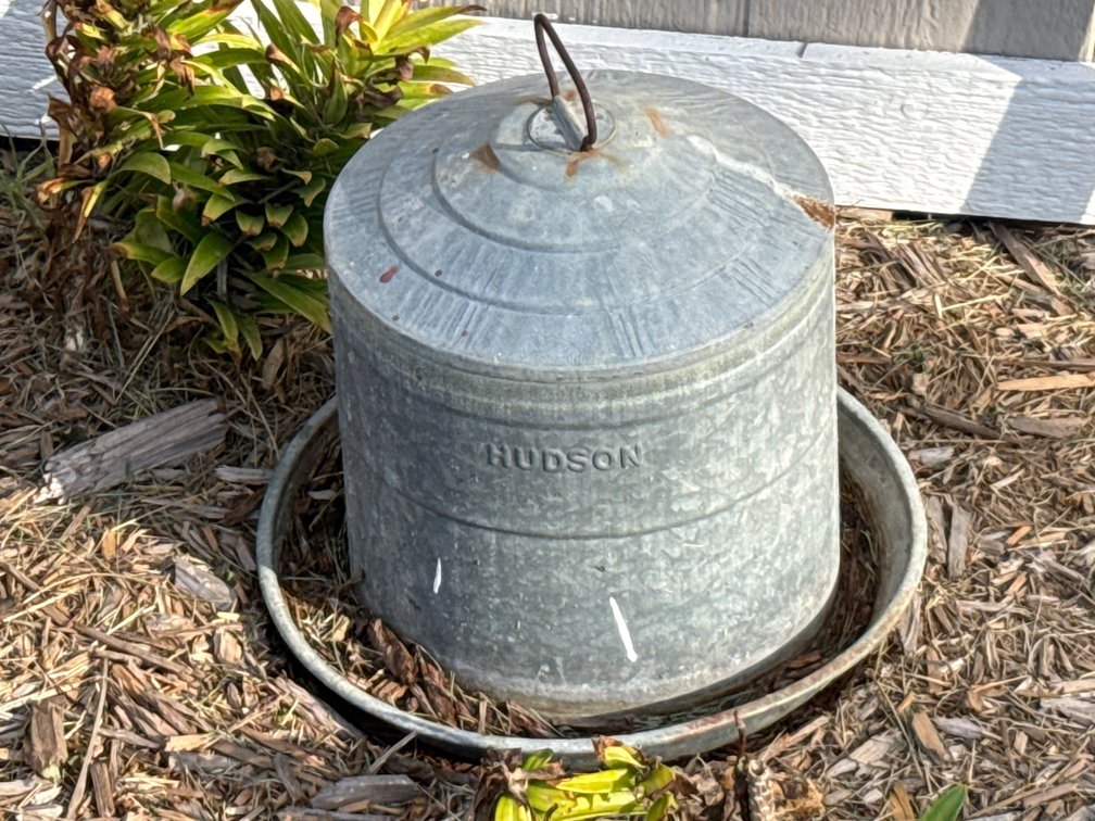 Hudson Galvanized Poultry Waterer