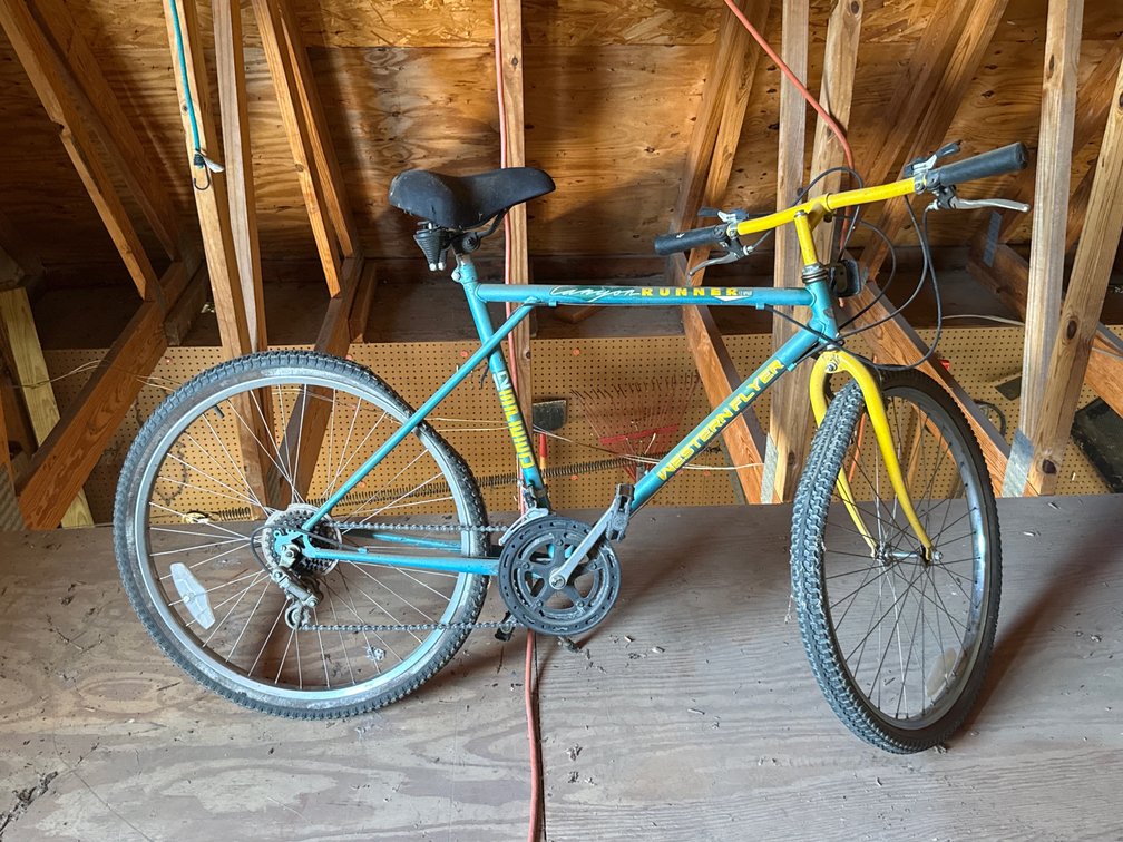 Western Flyer Canyon Runner Bicycle