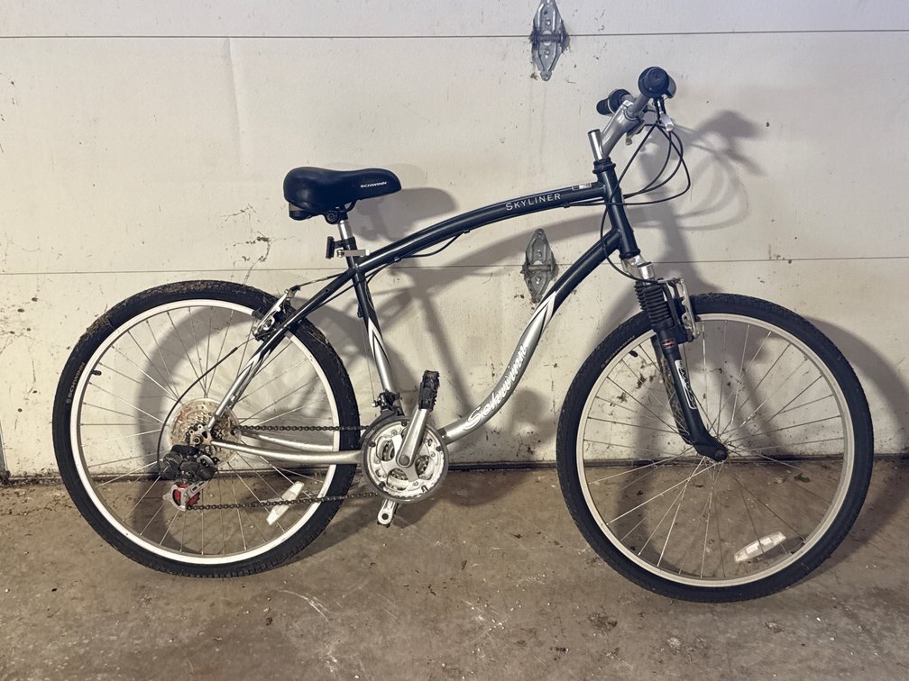 Schwinn Skyliner Bicycle
