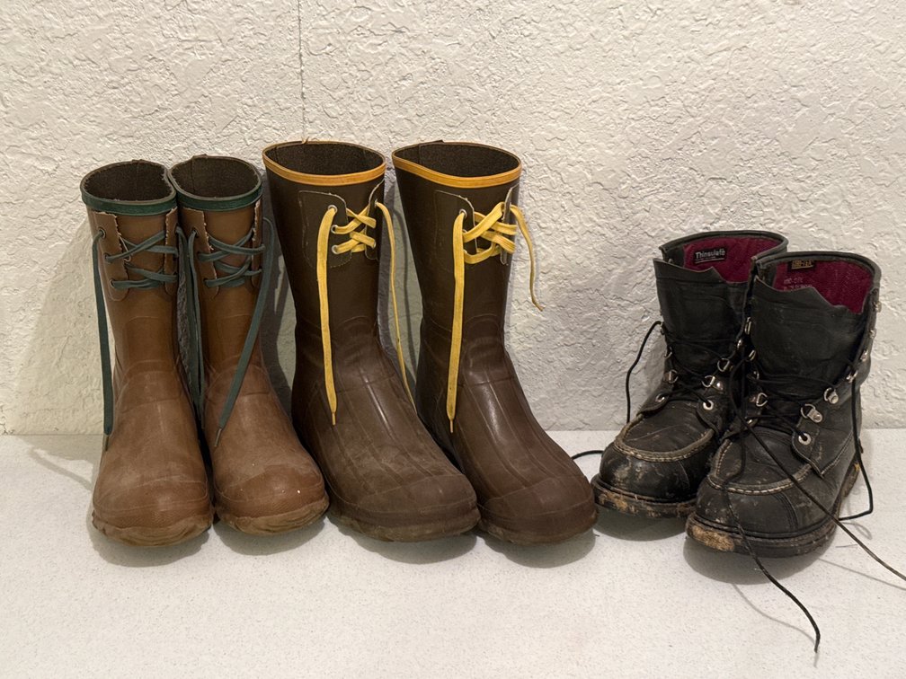 Cabela's Leather Boots