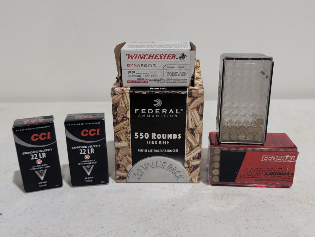 Mixed .22 Ammunition