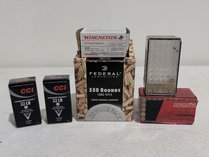 Mixed .22 Ammunition