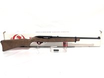 Ruger .22 Cal Semi-Auto Rifle