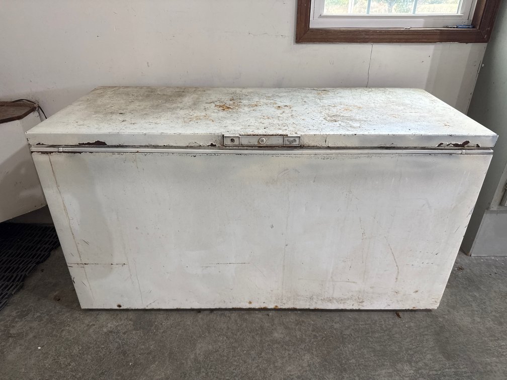Chest Freezer