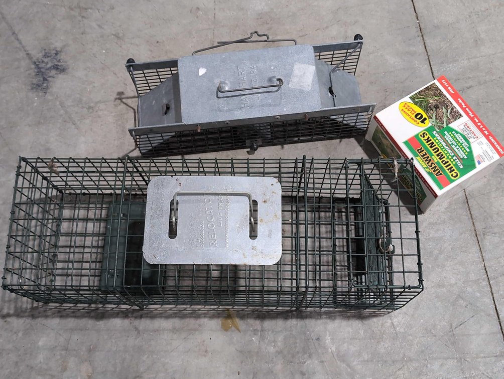 Medium & Small Live Traps 