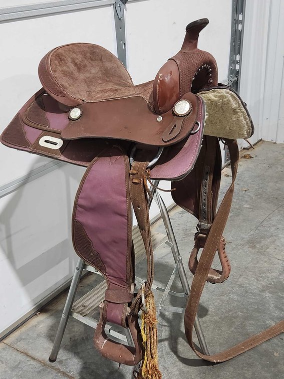 King Series Saddle 