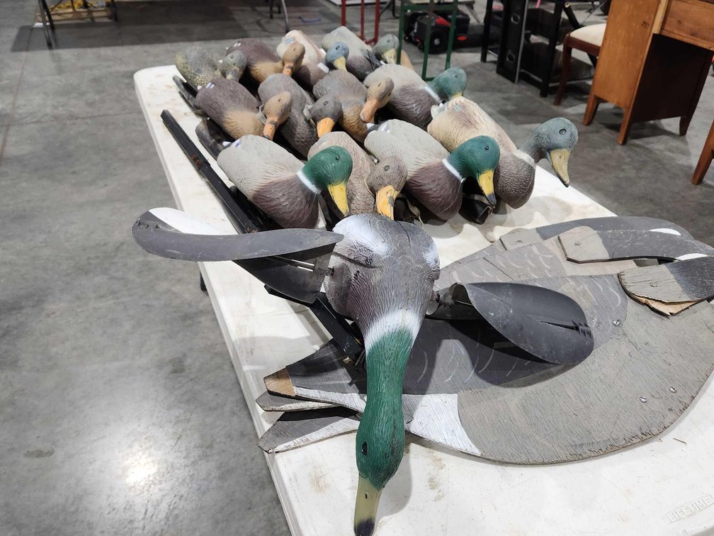 Duck Decoys