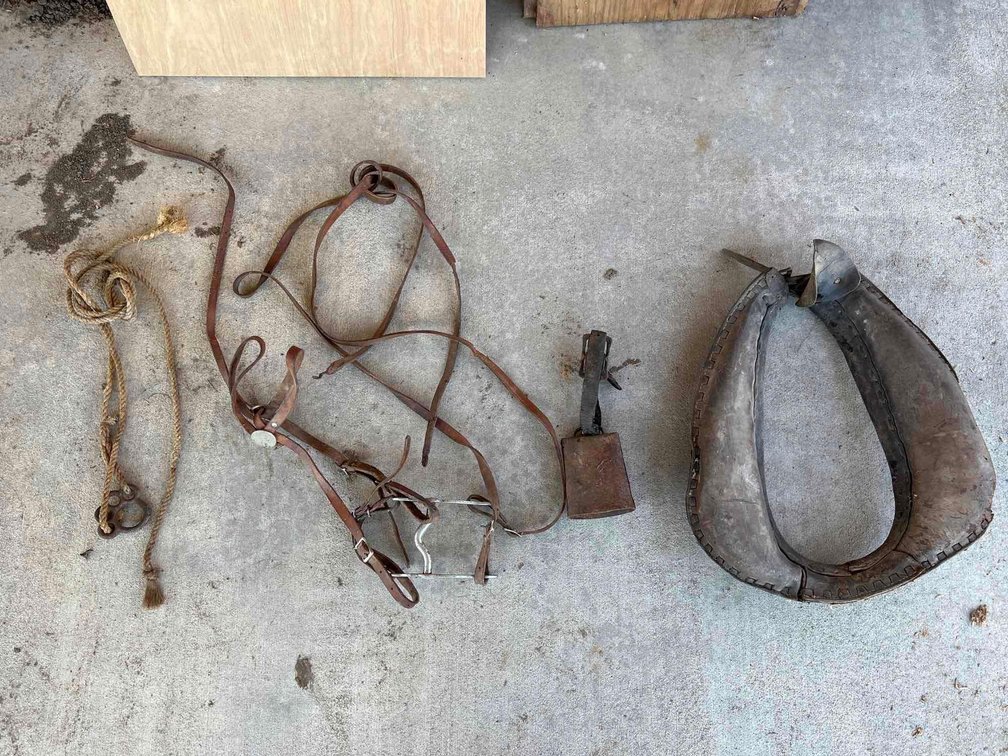Horse Collar And More 
