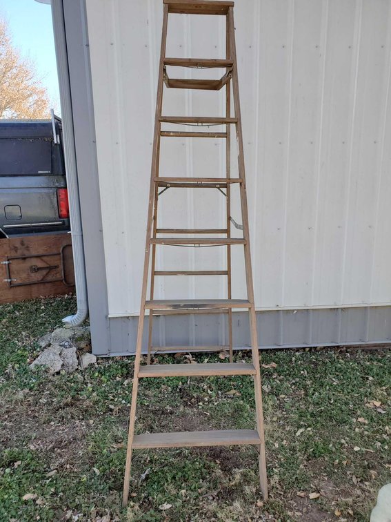Werner 8' Wooden Ladder