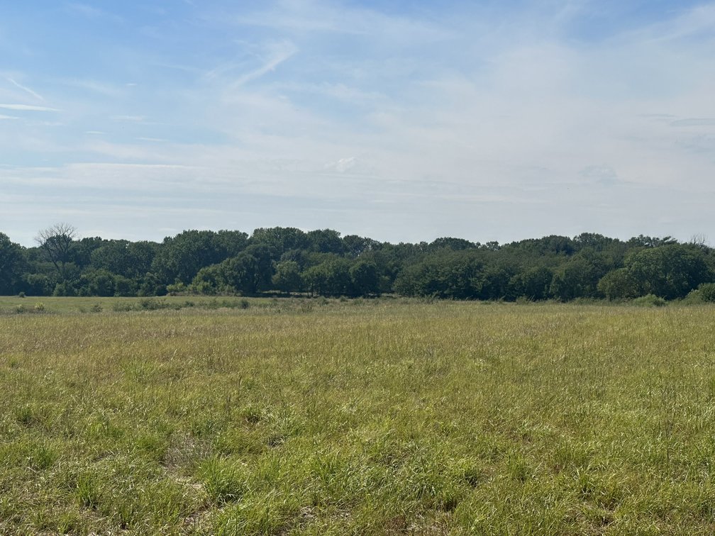 182.84 Acres of CRP and Wooded Area