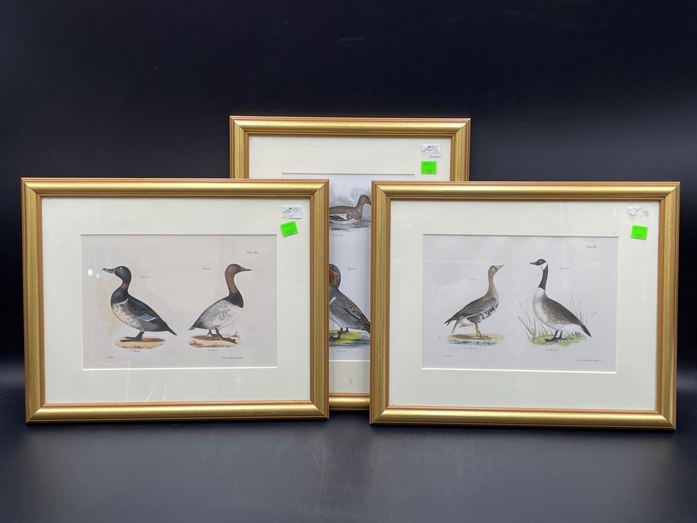 J. W. Hill Framed Lithographs