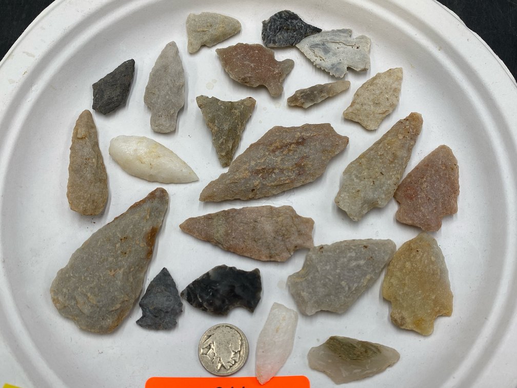 Arrowheads & Buffalo Nickel