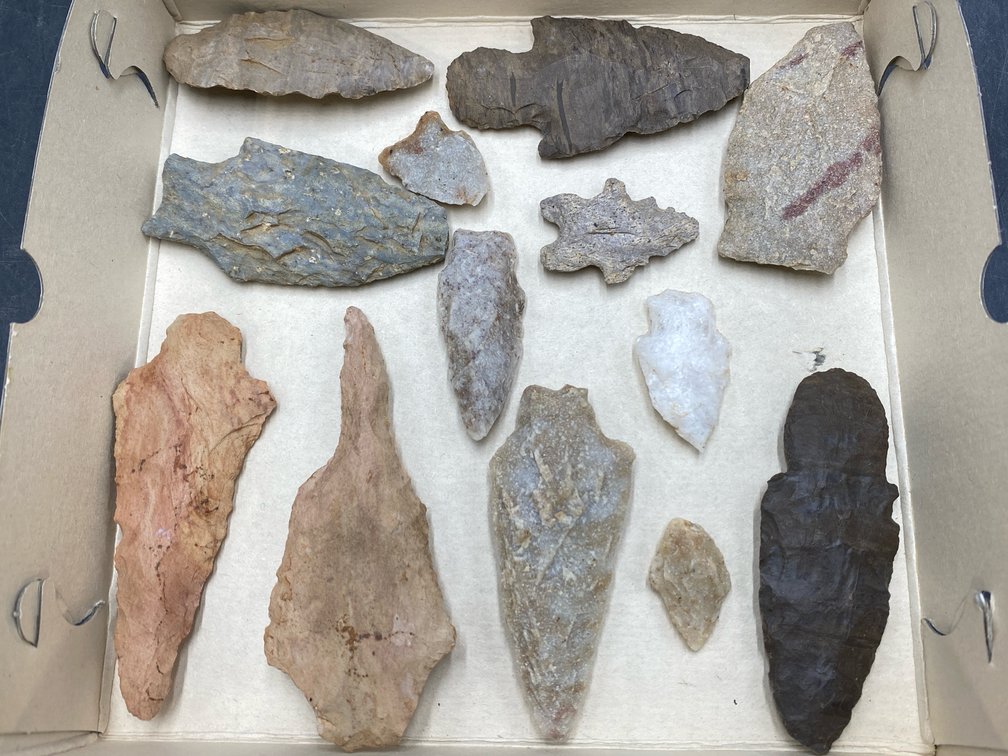 Arrowhead Variety