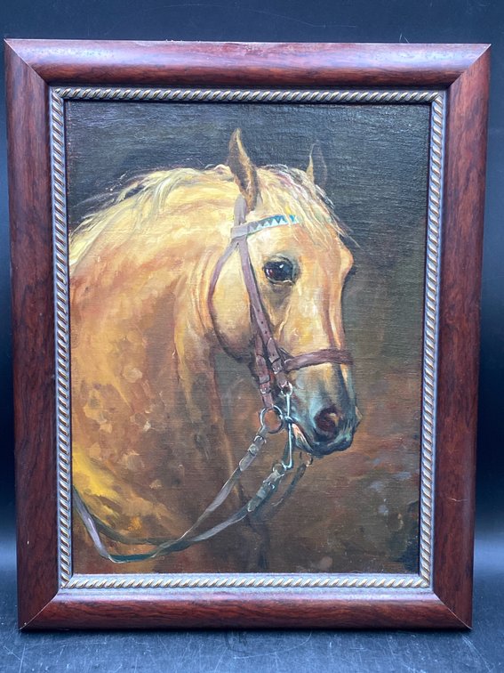 Framed Horse Portrait