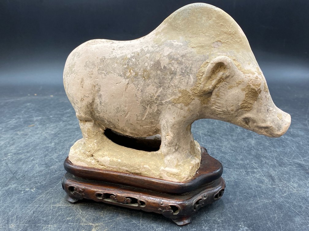 Tang Style Pottery Pig Figure