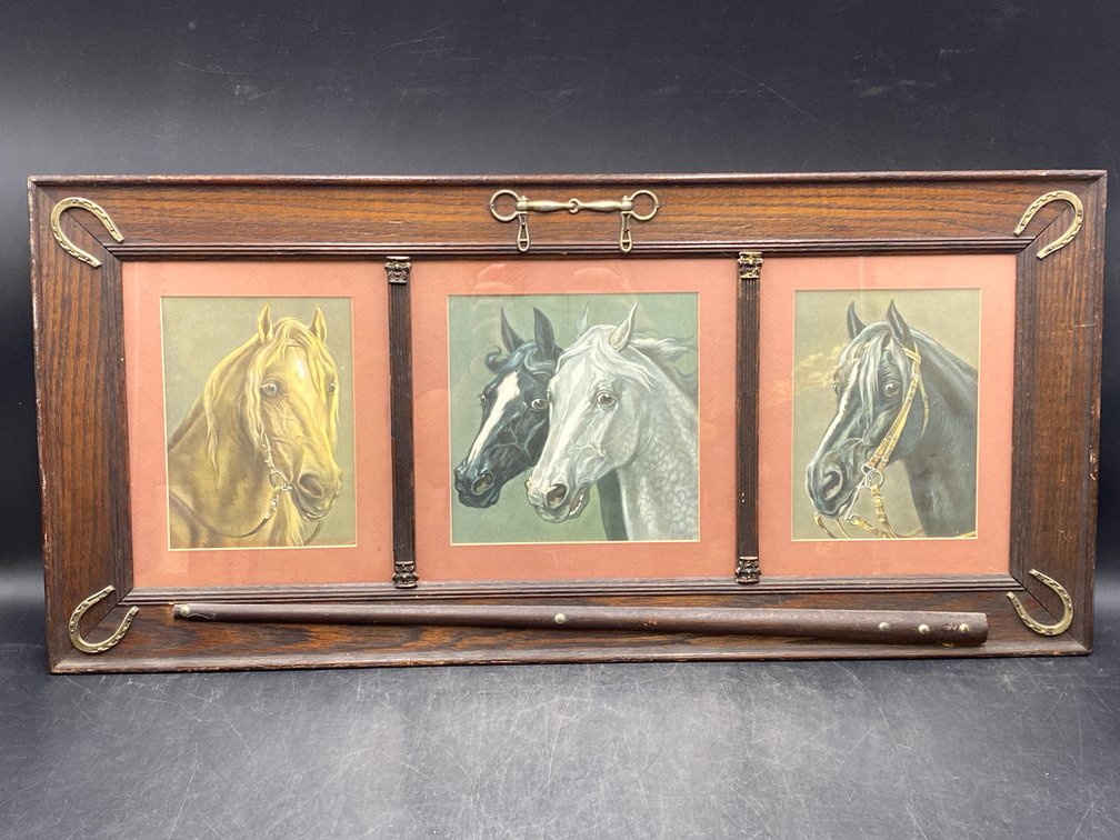 Equine Picture Frame