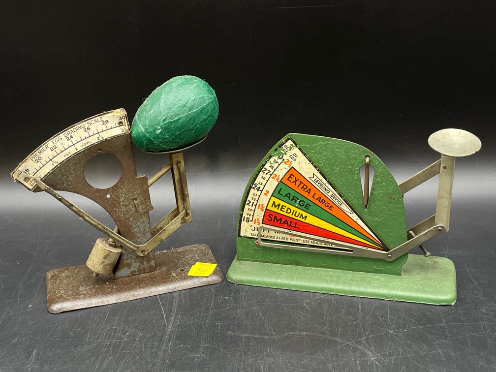 Egg Grading Scales