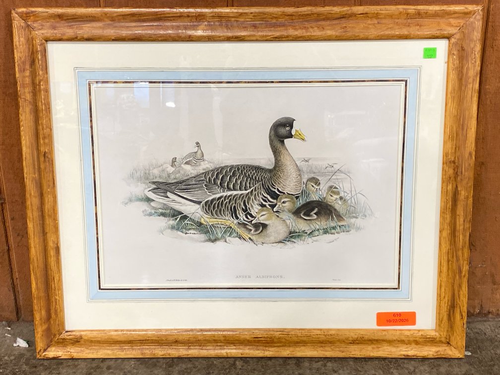 Gould & Richter Print