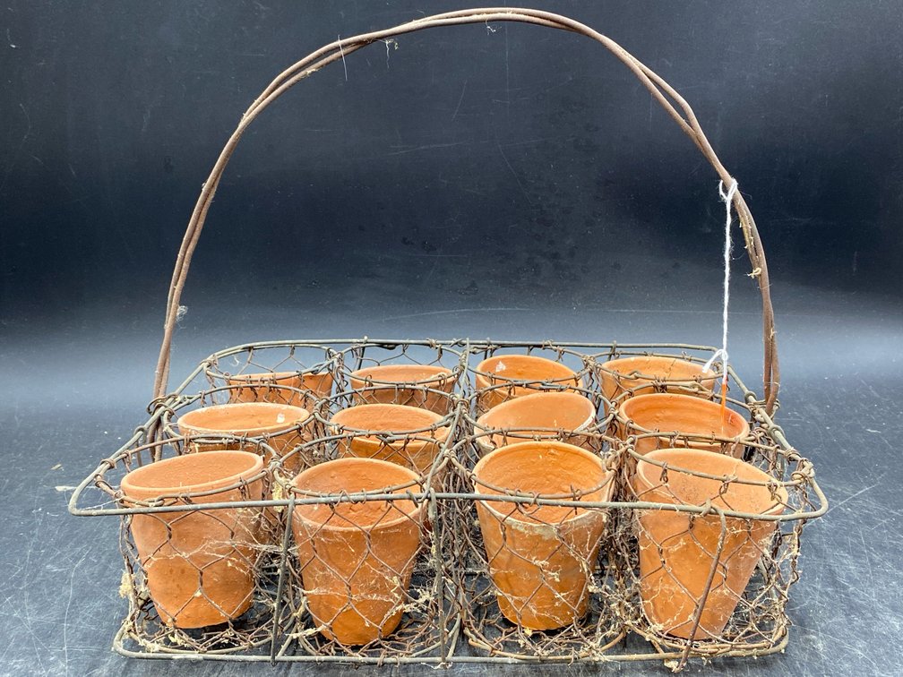 Garden Wire Basket Caddy