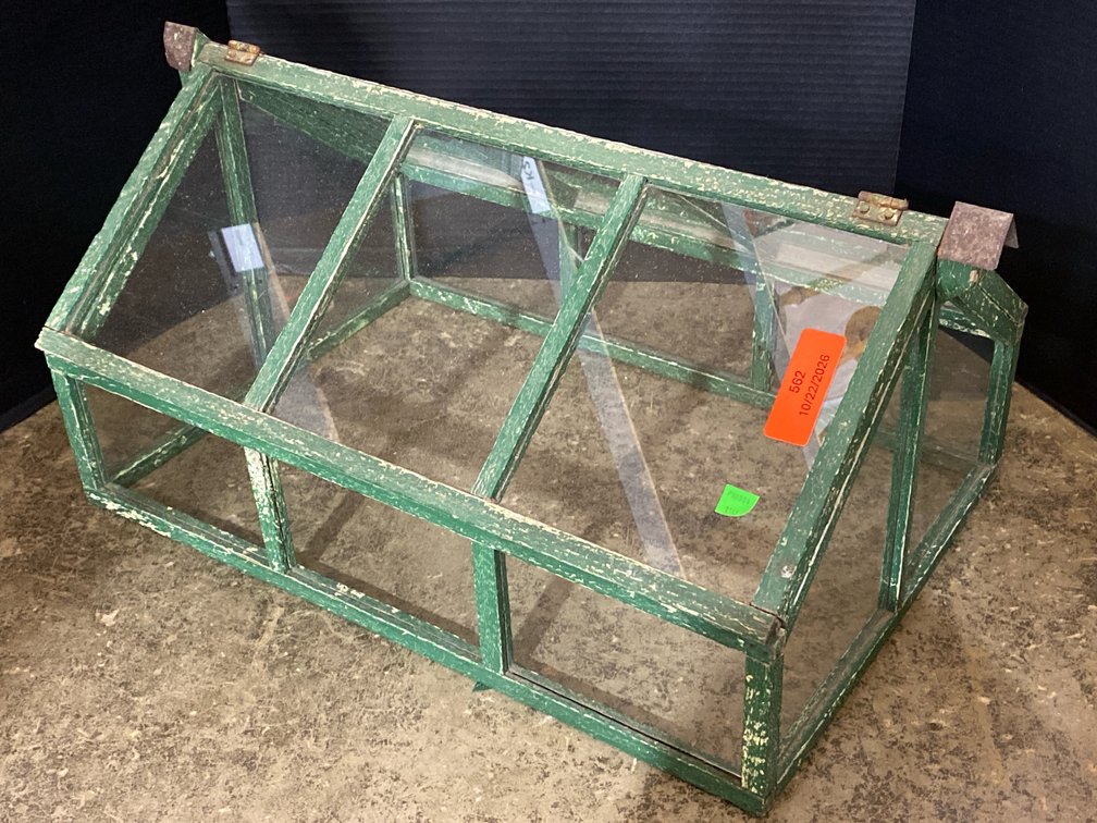 Rustic Cased Terrarium/Display?