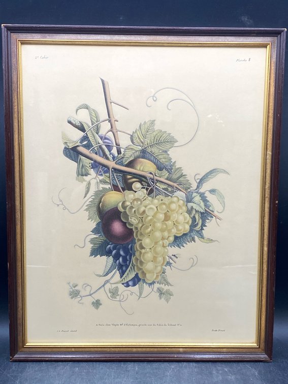 Grapes & Peaches Still Life Framed Print