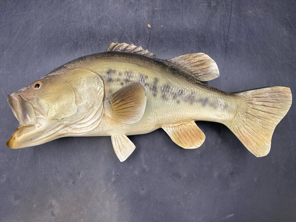 Artist Signed Plaster Fish Mount