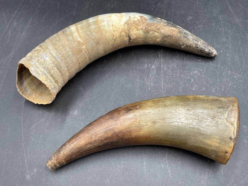 Powder Horn Lot of 2