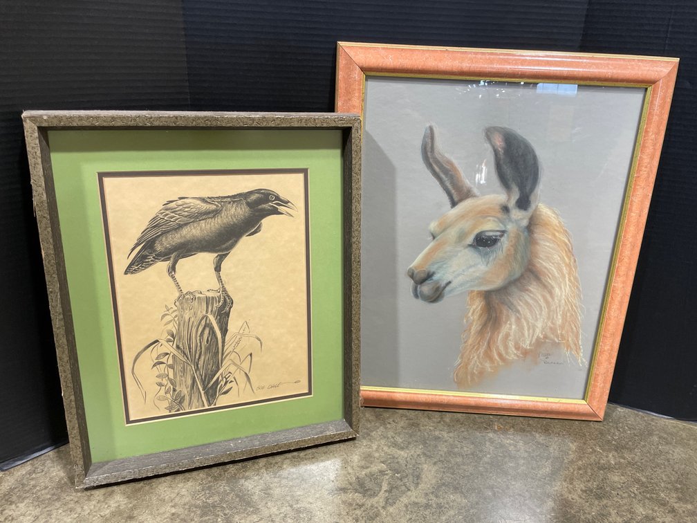 Framed Animal Artwork