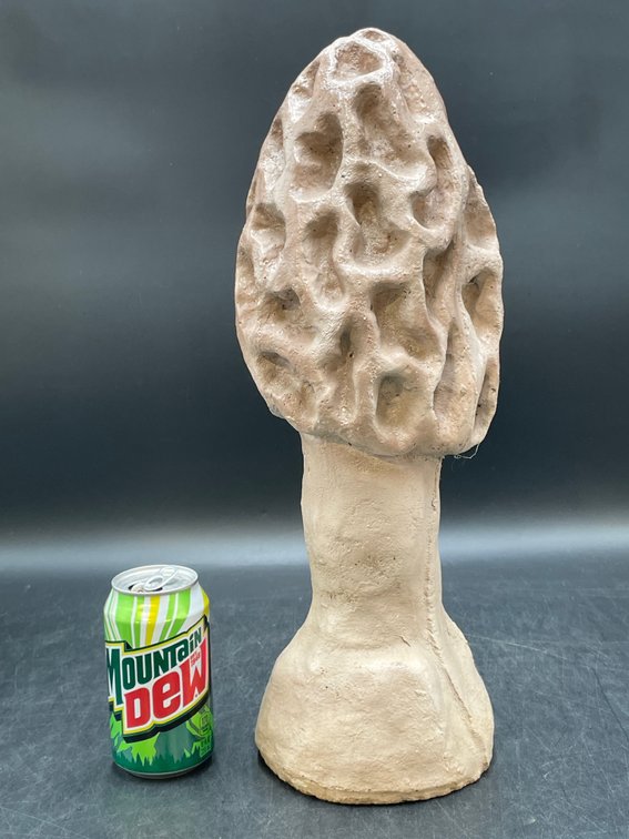 Concrete Morel Sculpture