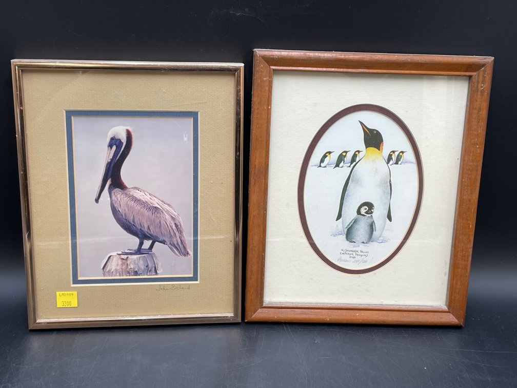 Framed Avian Artwork