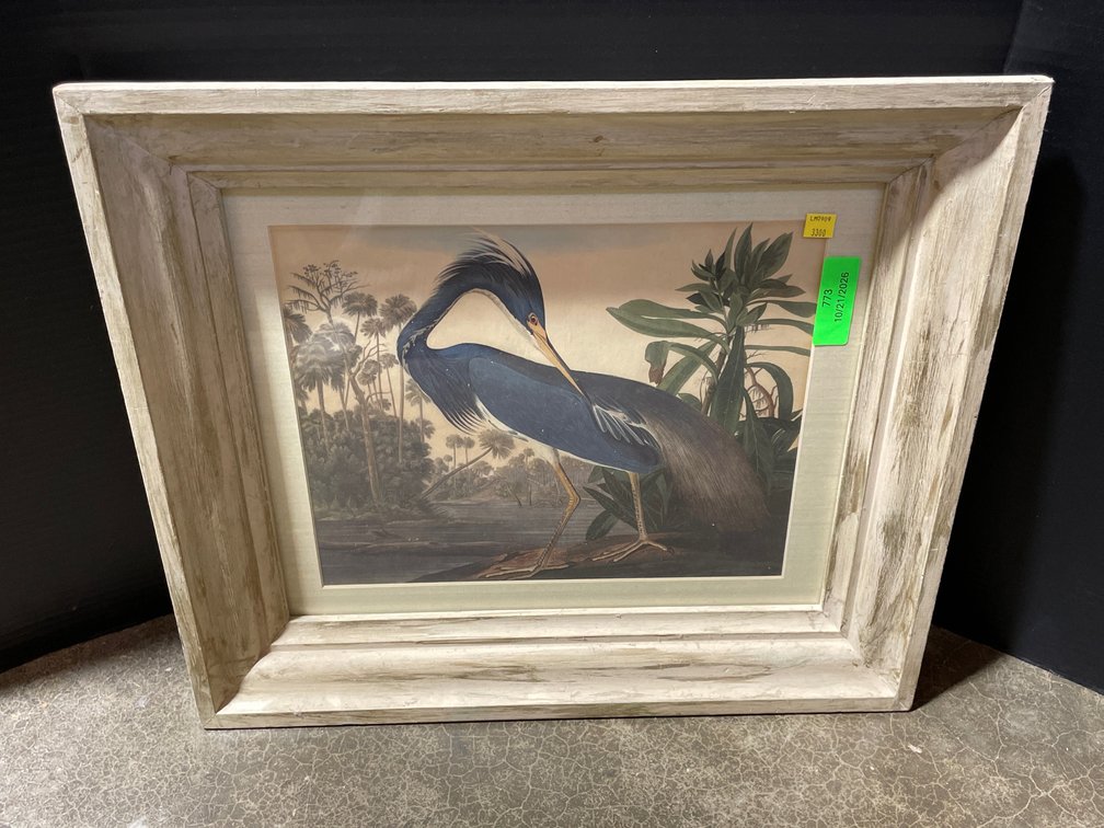 Audubon's Framed "Louisiana Heron" Print