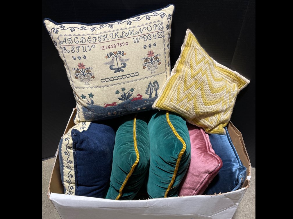 Throw Pillow Variety