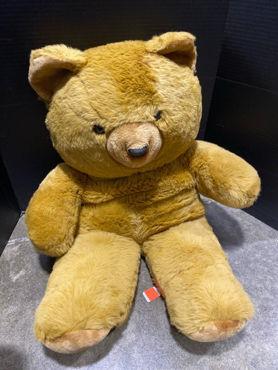 Stuffed Bear