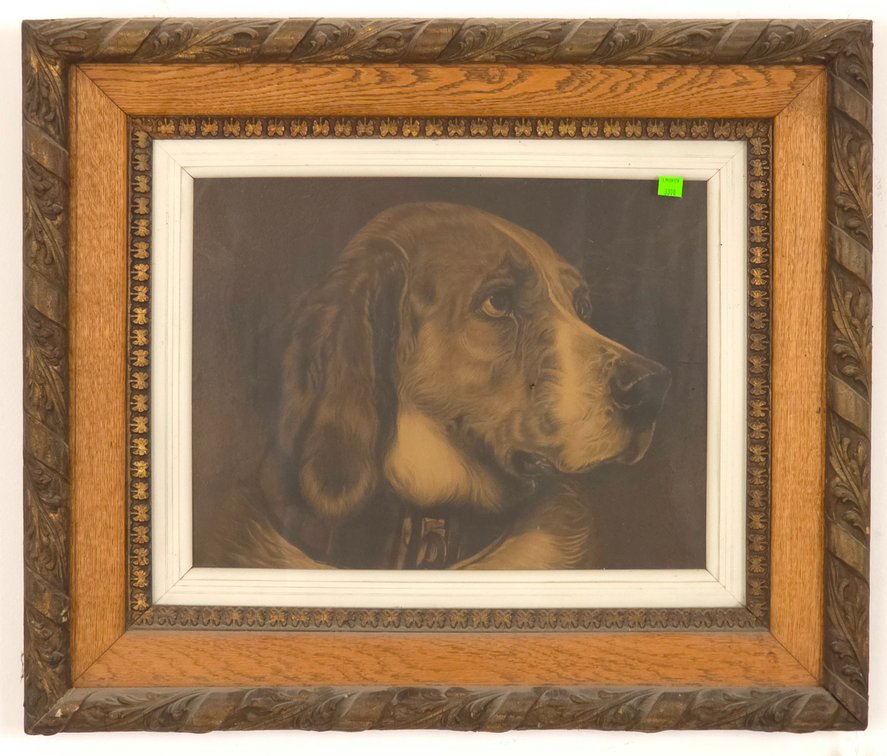 “Odin” The Bloodhound Print