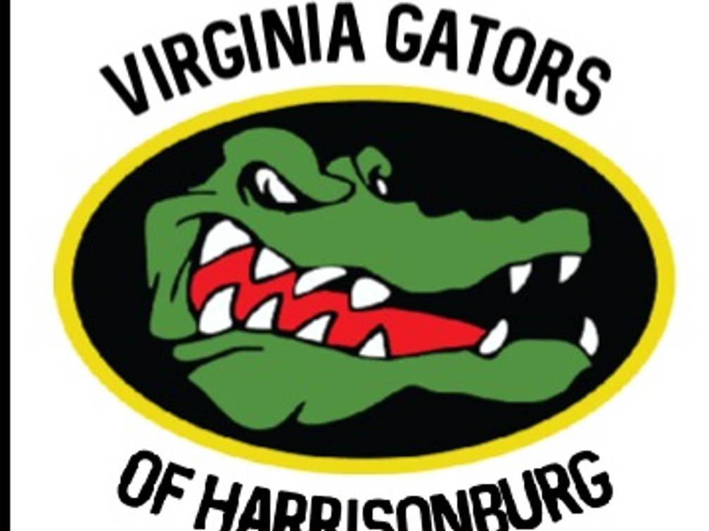 Gators Swim 4 week Clinic Session