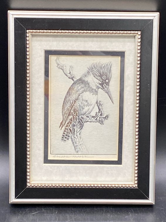 Benson Moore Framed Belted Kingfisher Print