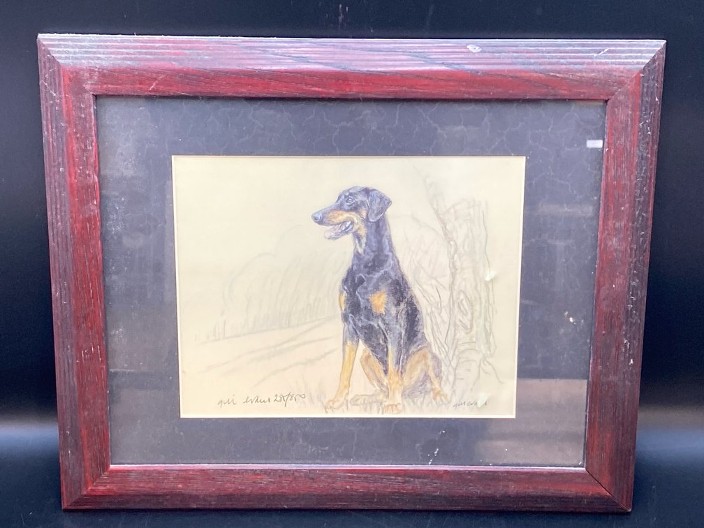 Gill Evans Framed Print