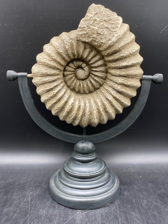 Decorative Ammonite Style Sculpture