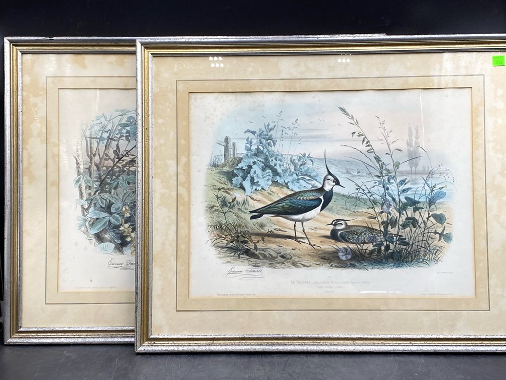 Édouard Traviès (1809–1876) Prints