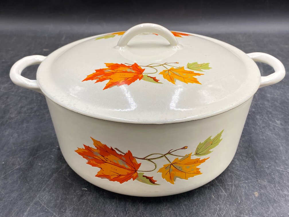 Descoware Enameled Cast Iron Dutch Oven