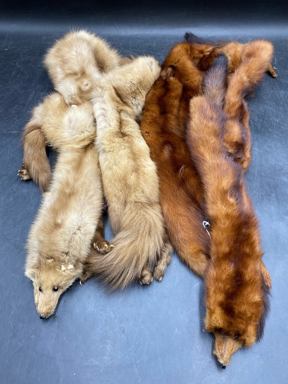 Mink Style Fur Pelts