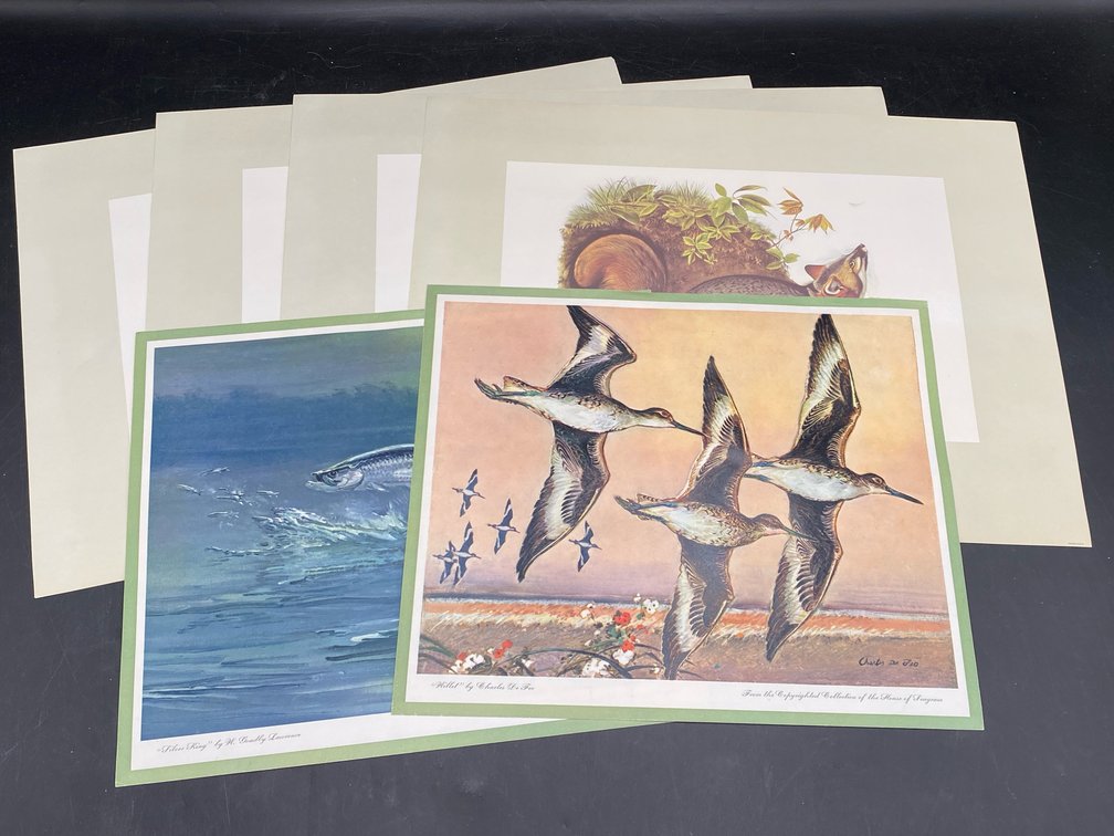 Audobon Animal Prints