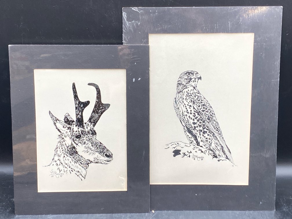 D. Rogers Wildlife Prints